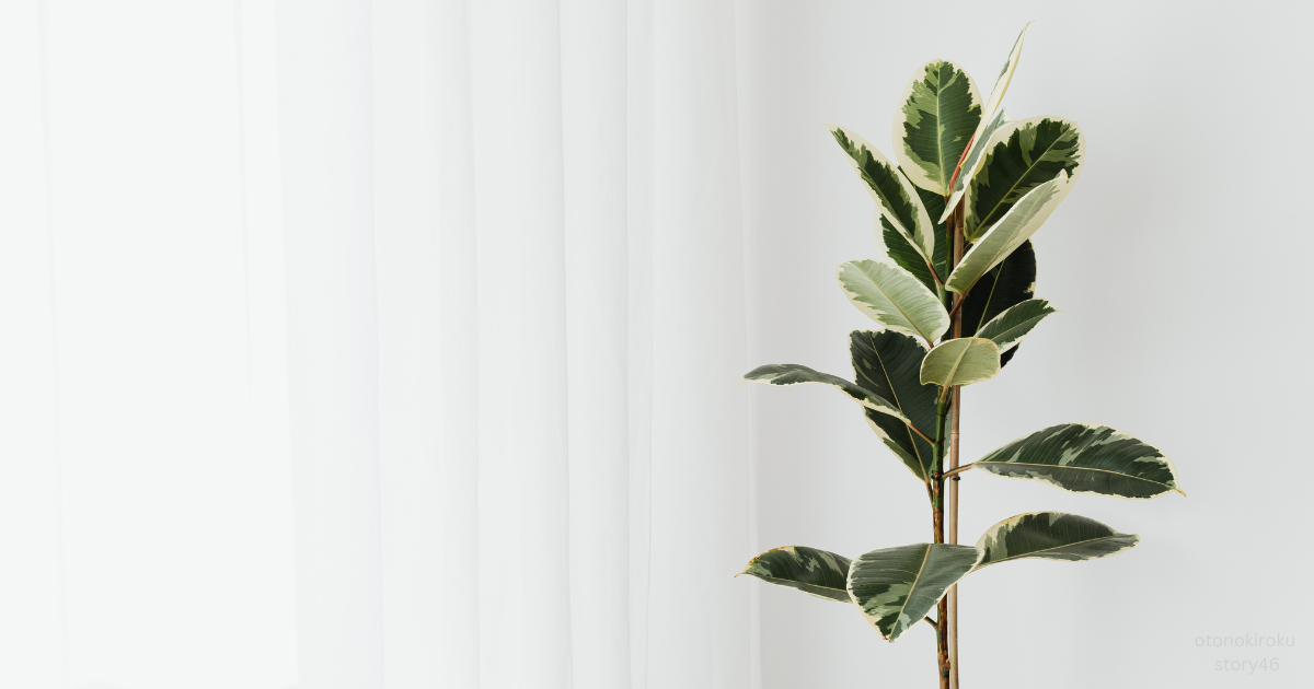 第46話｜話す言葉が減っていく——沈黙が増えた日