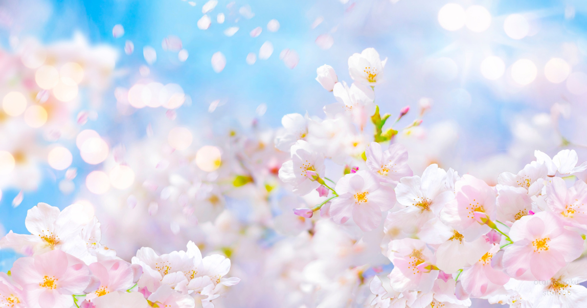 第56話｜あの季節のこと——記録を終えるにあたって